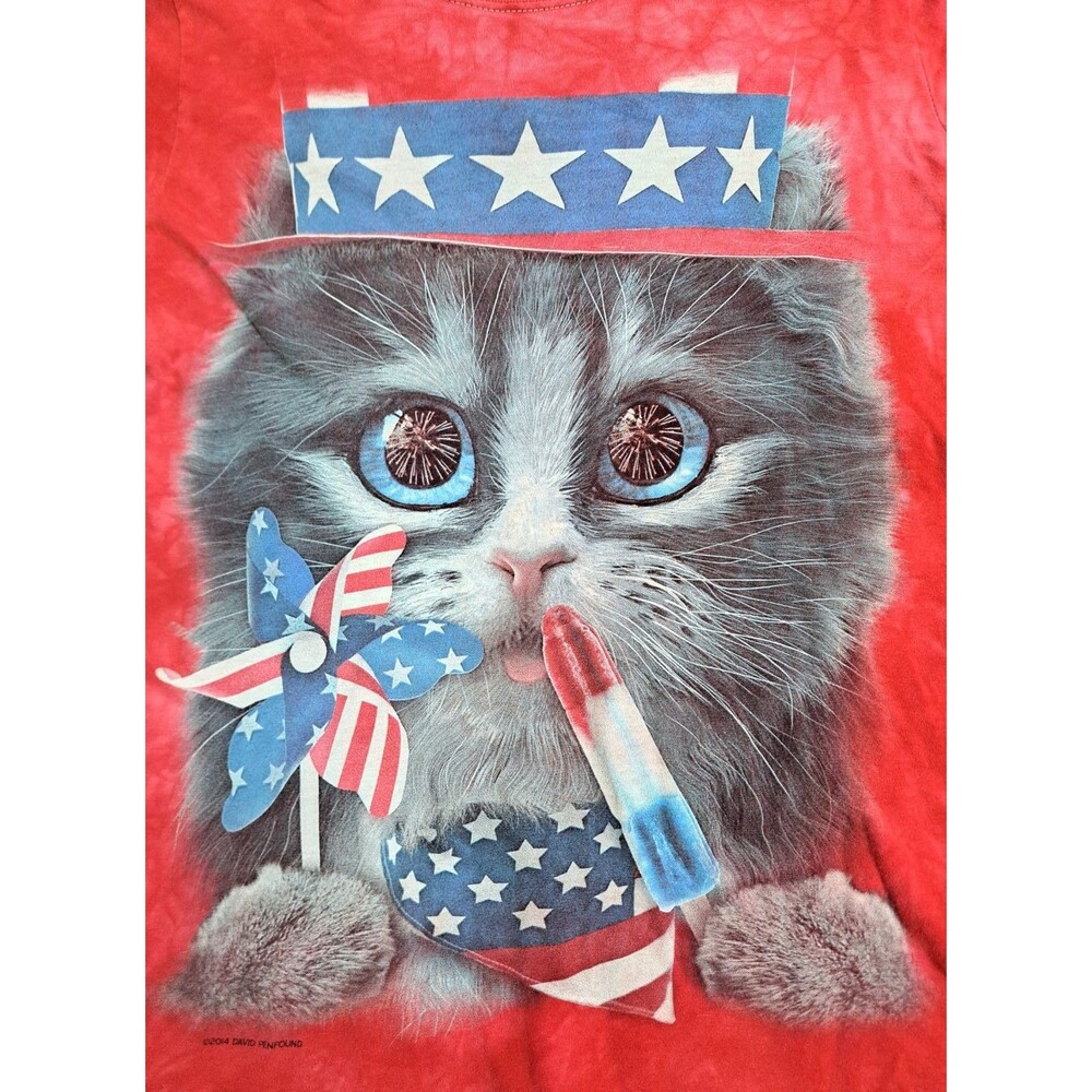 Patriotic Kitten Cat American Flag USA 4th July Tshirt 2014 Small Red White Blue